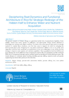 Deciphering Root Dynamics and Functional Architecture in Rice for Strategic Redesign of the Hidden Half to Enhance Water and Nutrient Acquisition